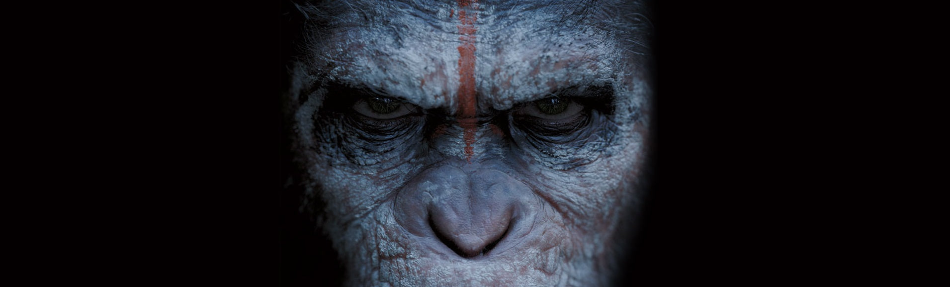 A BATHING APE® x Planet Of The Apes Collection